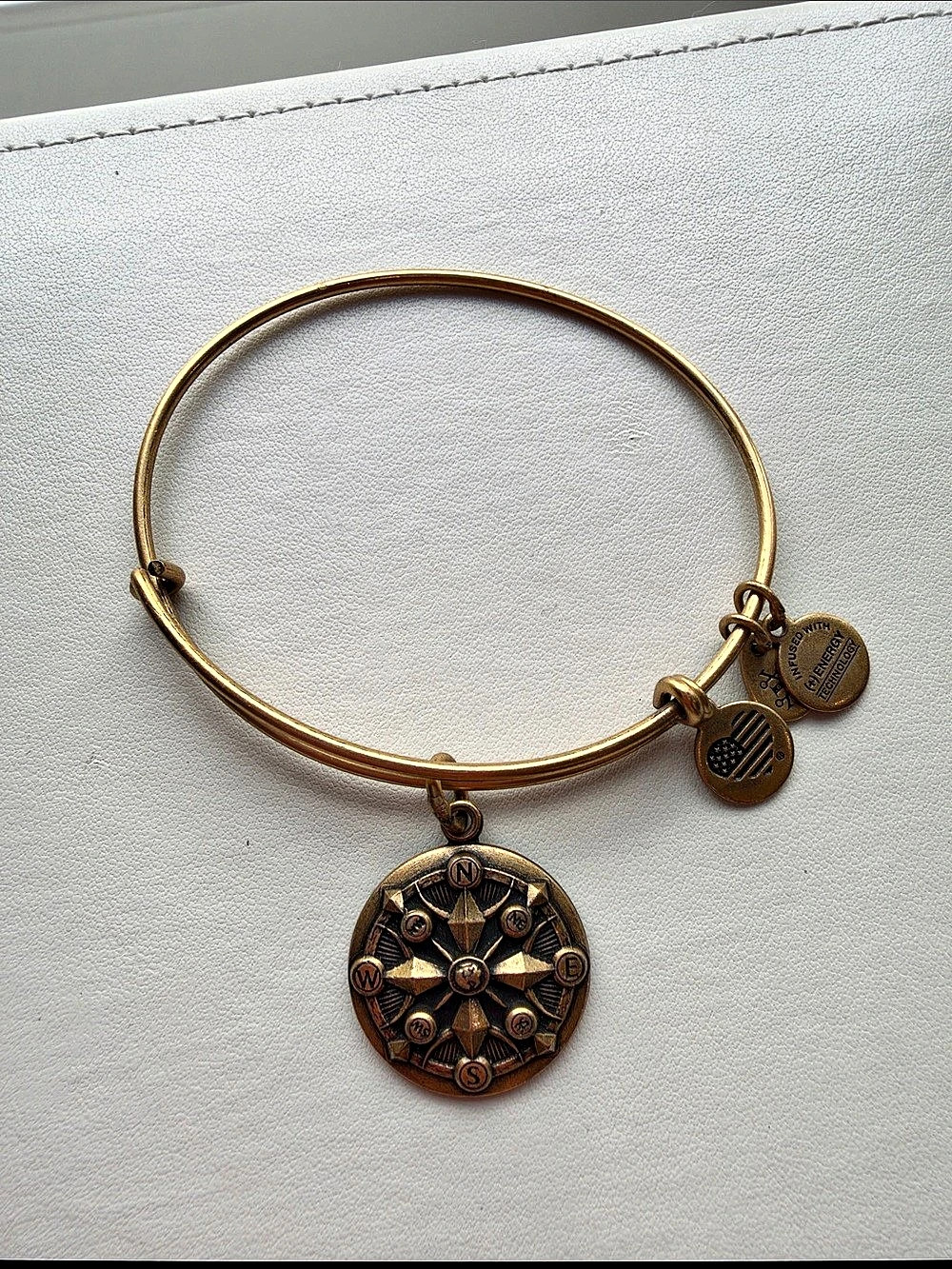 Alex and Ani Compass Charm Bangle Brown & Gold